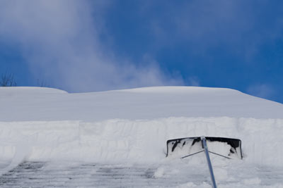 Roof Rake in Middletown